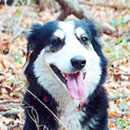 Haleigh was adopted in February, 2003